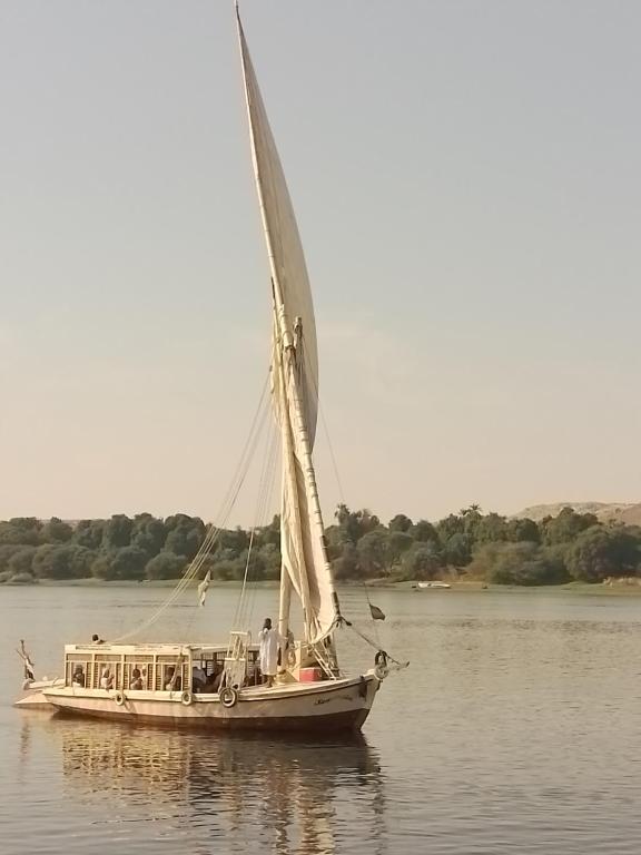 Příroda nedaleko ubytování na lodi
