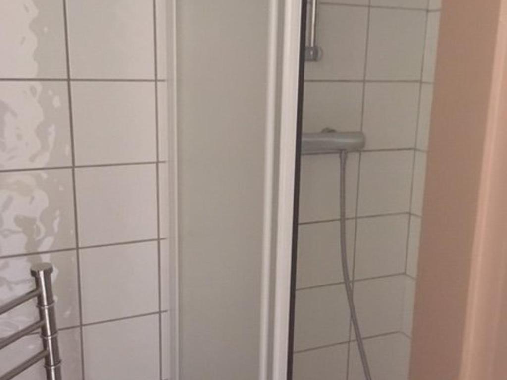 La salle de bains est pourvue d'une douche et d'un miroir. dans l'établissement Charmant studio au pied des pistes, balcon exposé sud - FR-1-351-244, à La Plagne Tarentaise