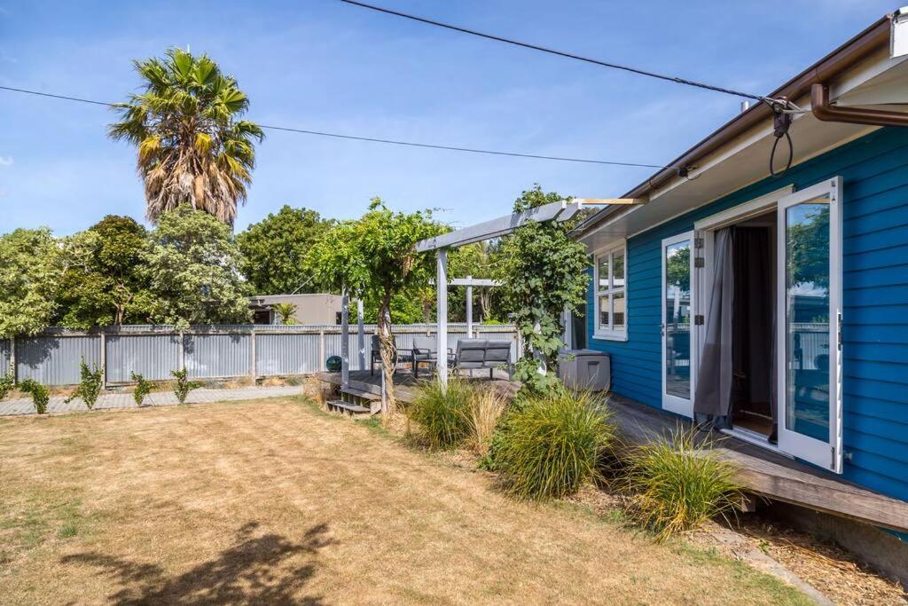 Little Blue Bach - Resim 11