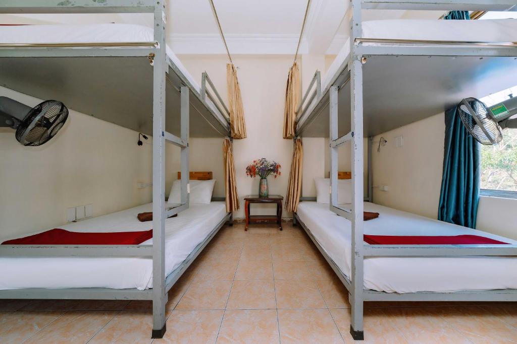 Luna's House Hostel - 3