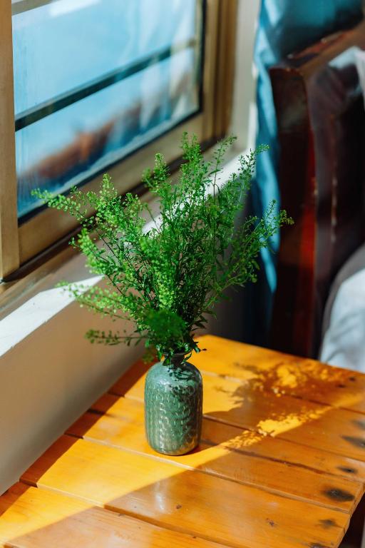 Luna's House Hostel - 18