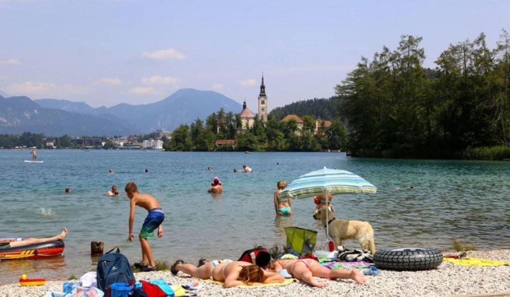 Příroda nedaleko hostelu