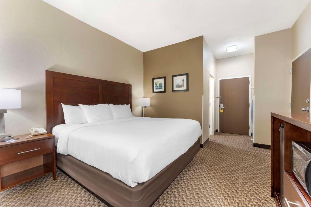 Comfort Inn & Suites - Room King - Non-fumeur