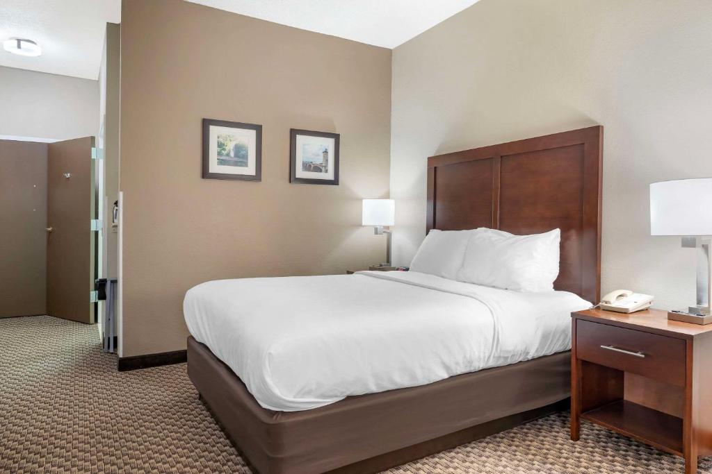 Comfort Inn & Suites - Salle Queen - Accessible / Non-fumeur