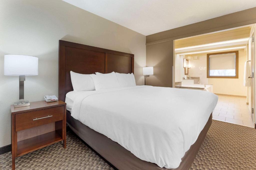 Comfort Inn & Suites - King Suite Avec Canapé-lit - Non-fumeur