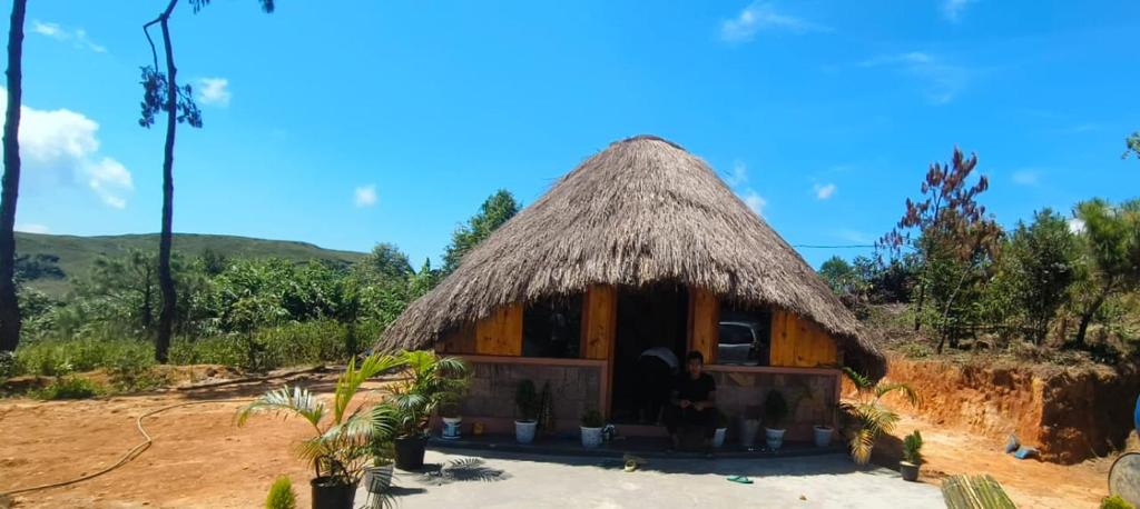 Příroda nedaleko penzionu