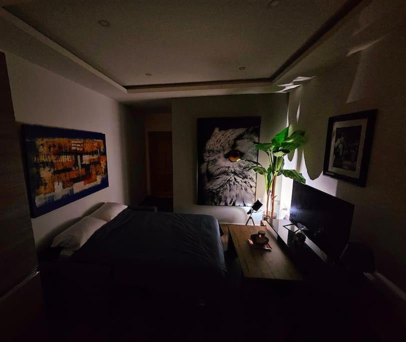 Gallery image of A Cosy Modern Apartment in Il-Gżira