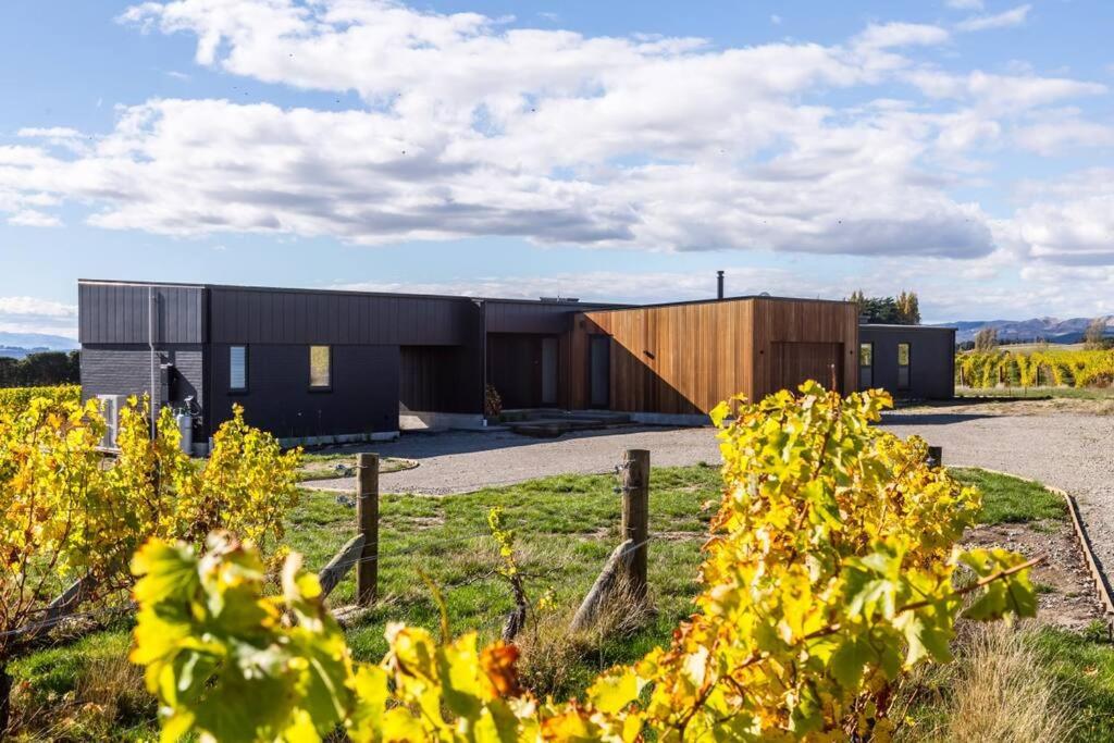 89 In The Vines - Resim 10