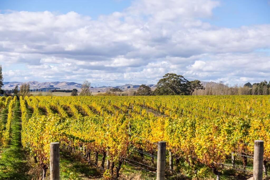 89 In The Vines - Resim 42