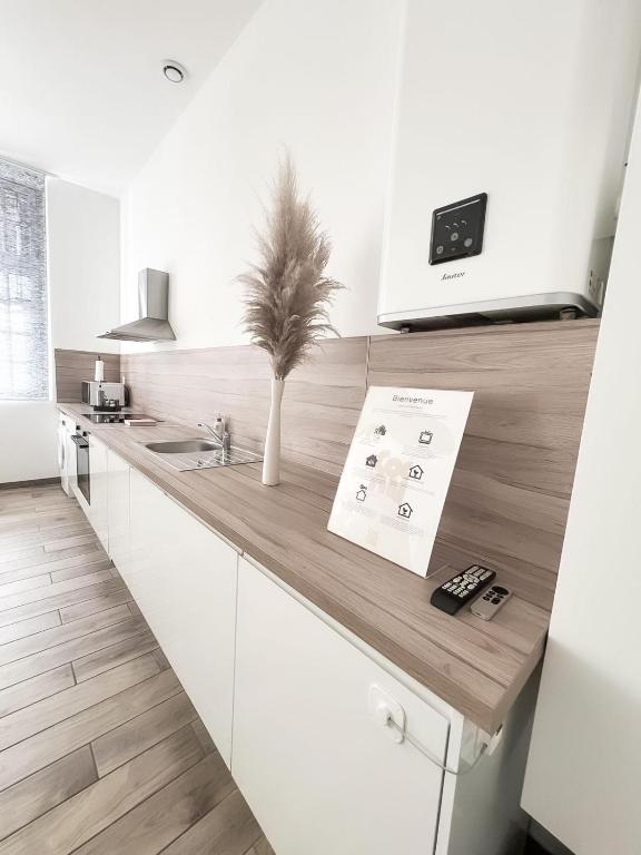 a kitchen with white cabinets and a plant on a counter at Le Petit Cocon - Pause douceur in Cambrai