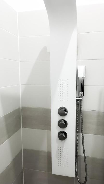 a bathroom with a shower with a shower head at Le Petit Cocon - Pause douceur in Cambrai