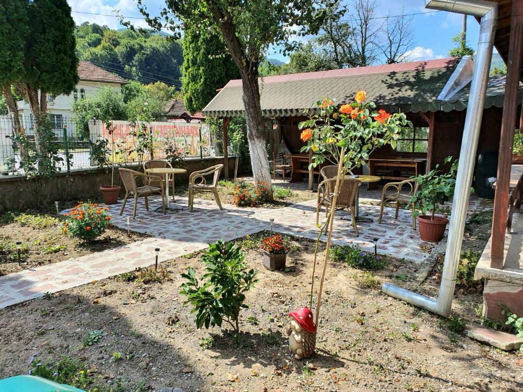 Zahrada ubytování GUEST HOUSE TONI СТАИ за ГОСТИ ТОНИ