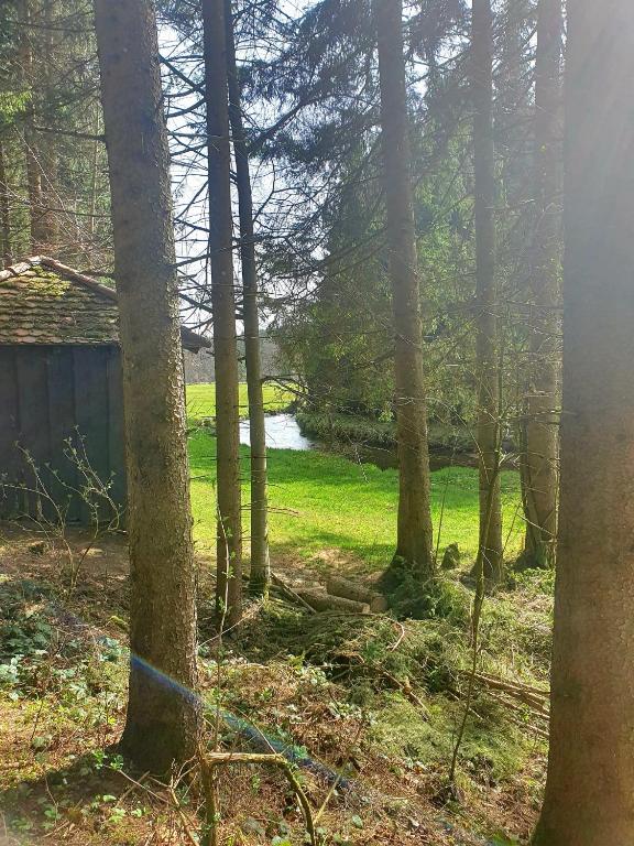 Loodusmaastik puhkemaja lähedal