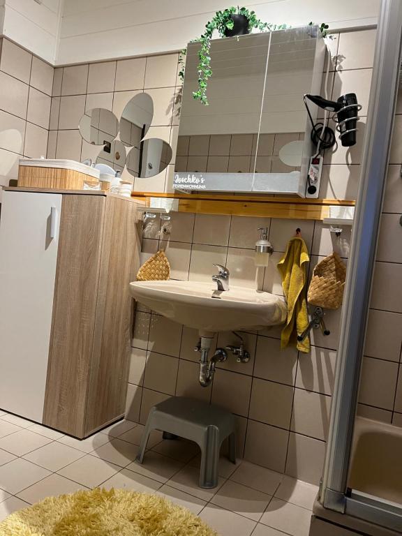 Ferienwohnung Joschko في وينتربرغ: حمام مع حوض ومرآة ومقعد