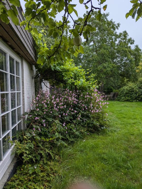 Zahrada ubytování Lejlighed ved skov