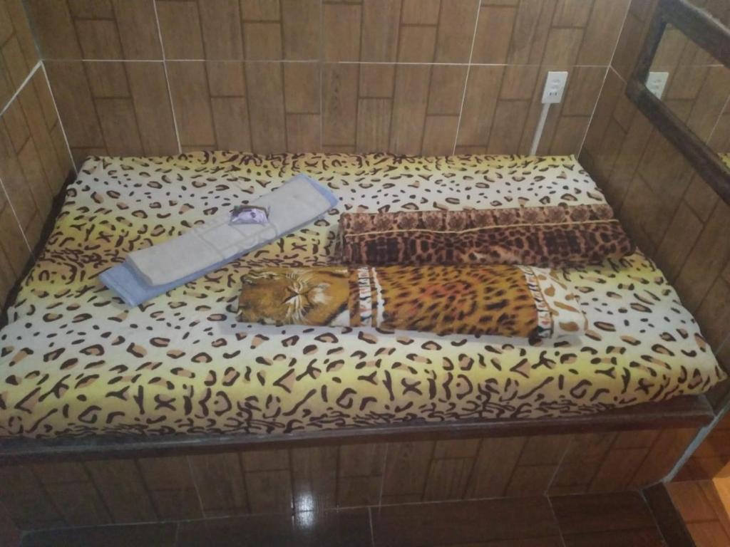 a cat is laying on a leopard print bed at Suíte in Paty do Alferes