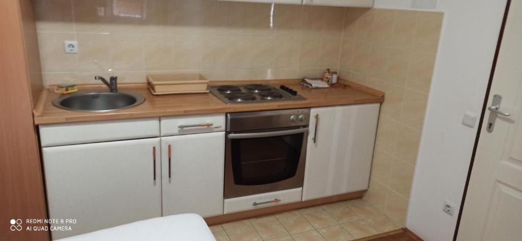 Kuchyň nebo kuchyňský kout v ubytování Apartmani vila Todor