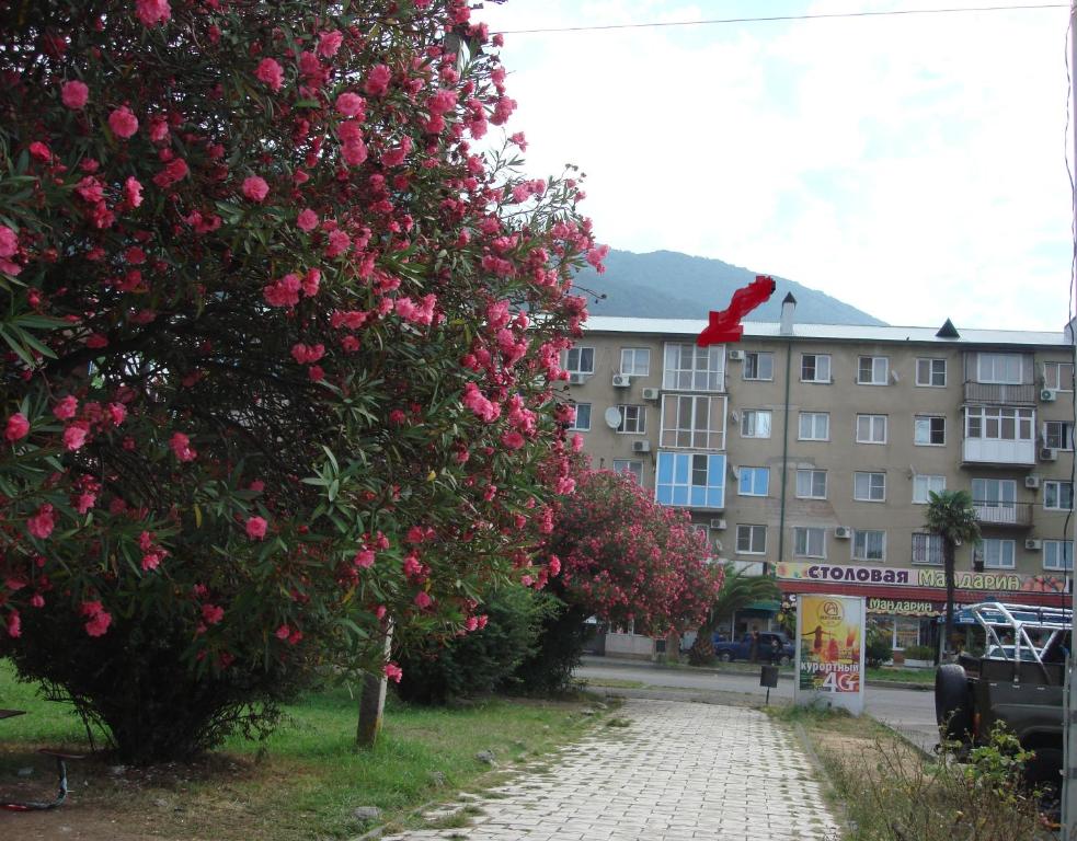 Абазгаа 49/1 гагра абхазия. Жилье гагра абазгаа. Гагра абазгаа 47/2. Жилье гагра абазгаа. Жилье гагра абазгаа.