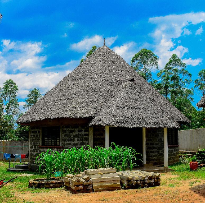 Zahrada ubytování Tropical lodge