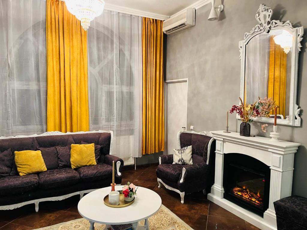 a living room with a couch and a fireplace at Confort Luxury Center Villa- langa Mitropolie si Palas in Iaşi
