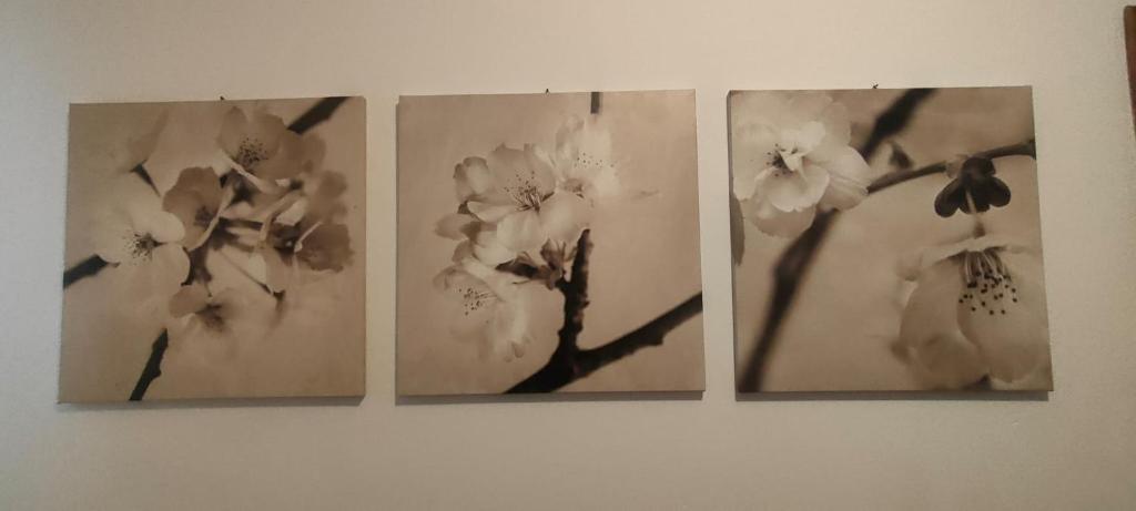 four pictures of flowers hanging on a wall at Casa Mina in Cavallasca
