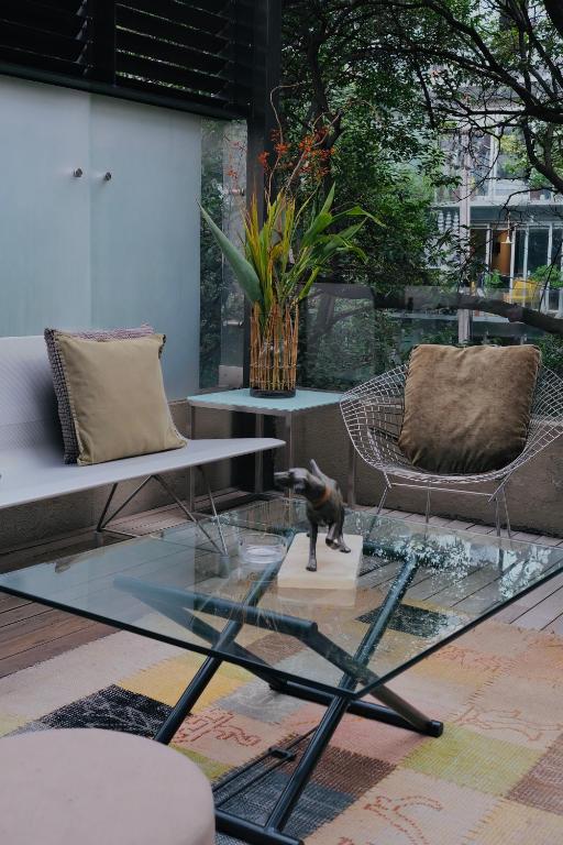 A leafy lounge with a glass coffee table, cushioned seating and an outdoor-facing window.