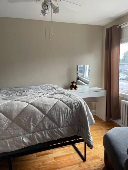 a bedroom with a bed and a dog sitting on a window at Entire Apartment in Kingston