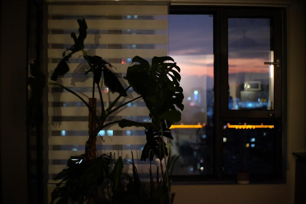 Galería fotográfica de Ygirls 歪好 西安明城墙 火车站 永兴坊 大明宫 近地铁站 大床房 可做饭 en Xi'an
