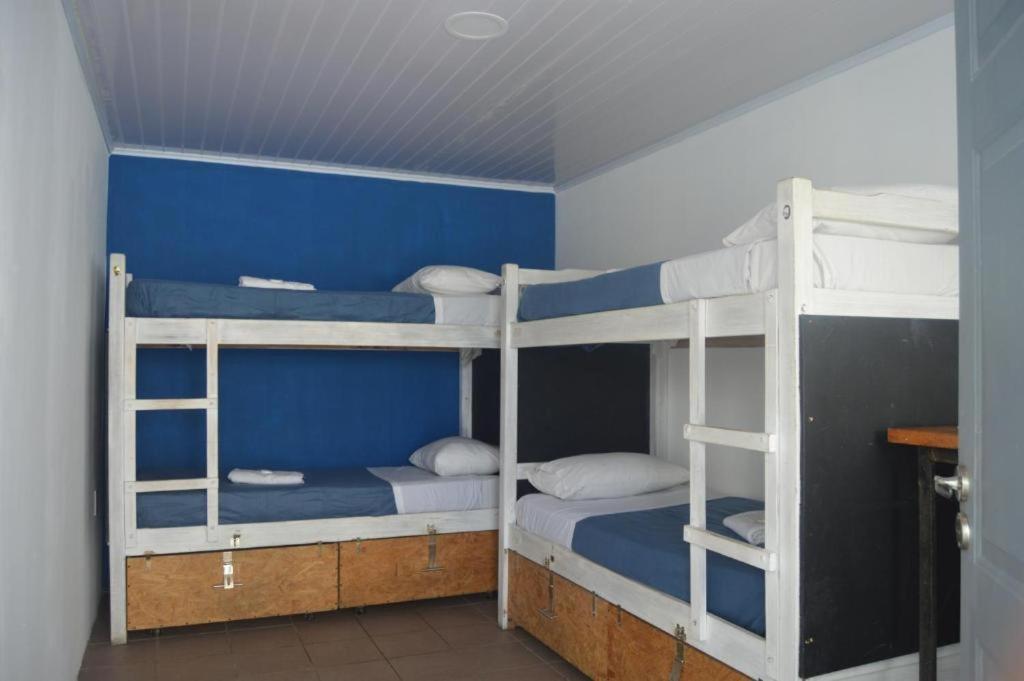 PASTORA Suites & Hostel - Punta del este - Bett Im Frauenschlafsaal Mit 4 Betten