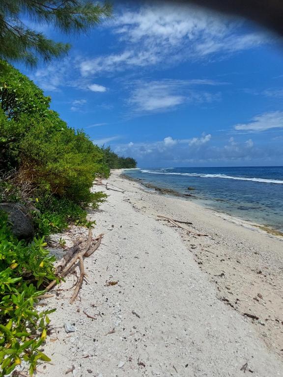 Fare Mama Fenua plage baleines Moorea Temae - photo 9 - Moorea, Polynésie