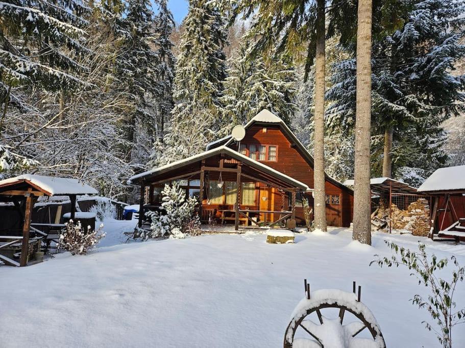 Fabian Kulcsoshaz semasa musim sejuk