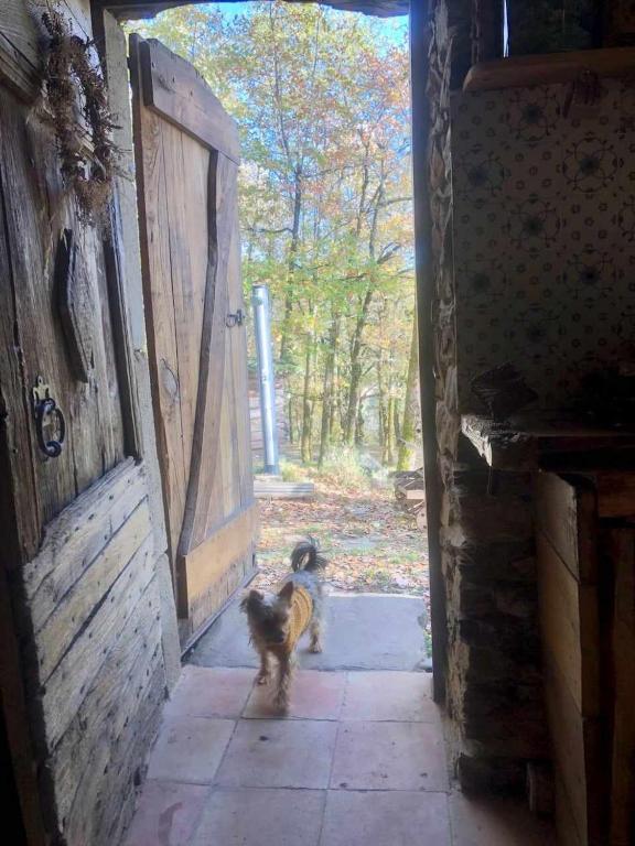 Domácí mazlíčci ubytovaní s hosty v ubytování Insolite bergerie dans la forêt