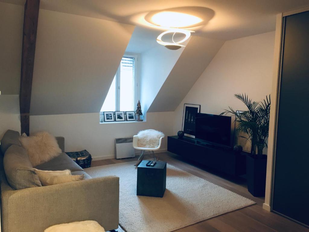 un salon avec un canapé et une télévision dans l'établissement Annecy centre - 3 chambres - 90m2 5 min du lac, à Annecy