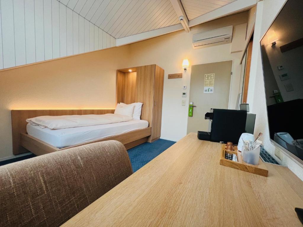 TV a/nebo společenská místnost v ubytování Hotel Felmis