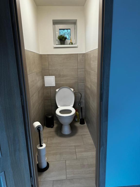 Koupelna v ubytování Apartmán 2 Jägerhaus