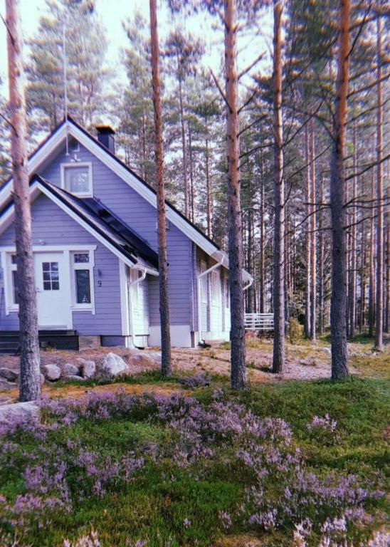 a purple house in the woods with trees at Villa in Kalajoki