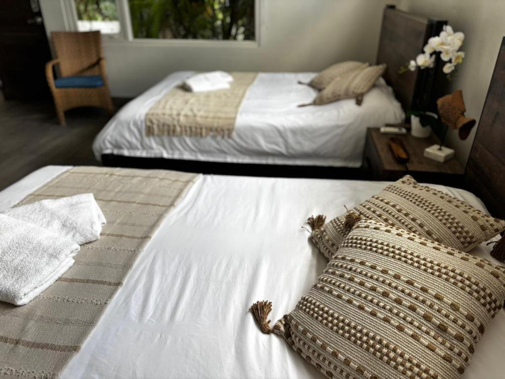 Postel nebo postele na pokoji v ubytování Aloe B&B