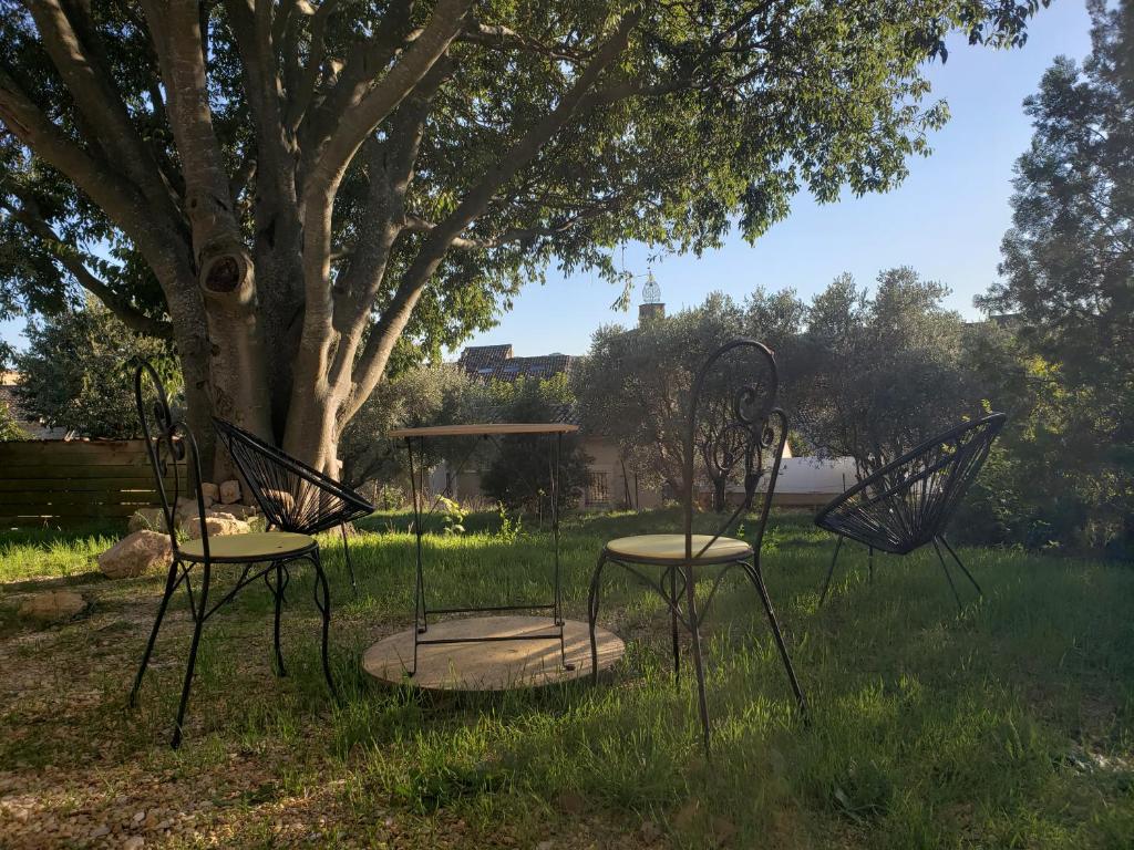 three chairs sitting in the grass under a tree at Maisonnette au cœur de Lauris in Lauris