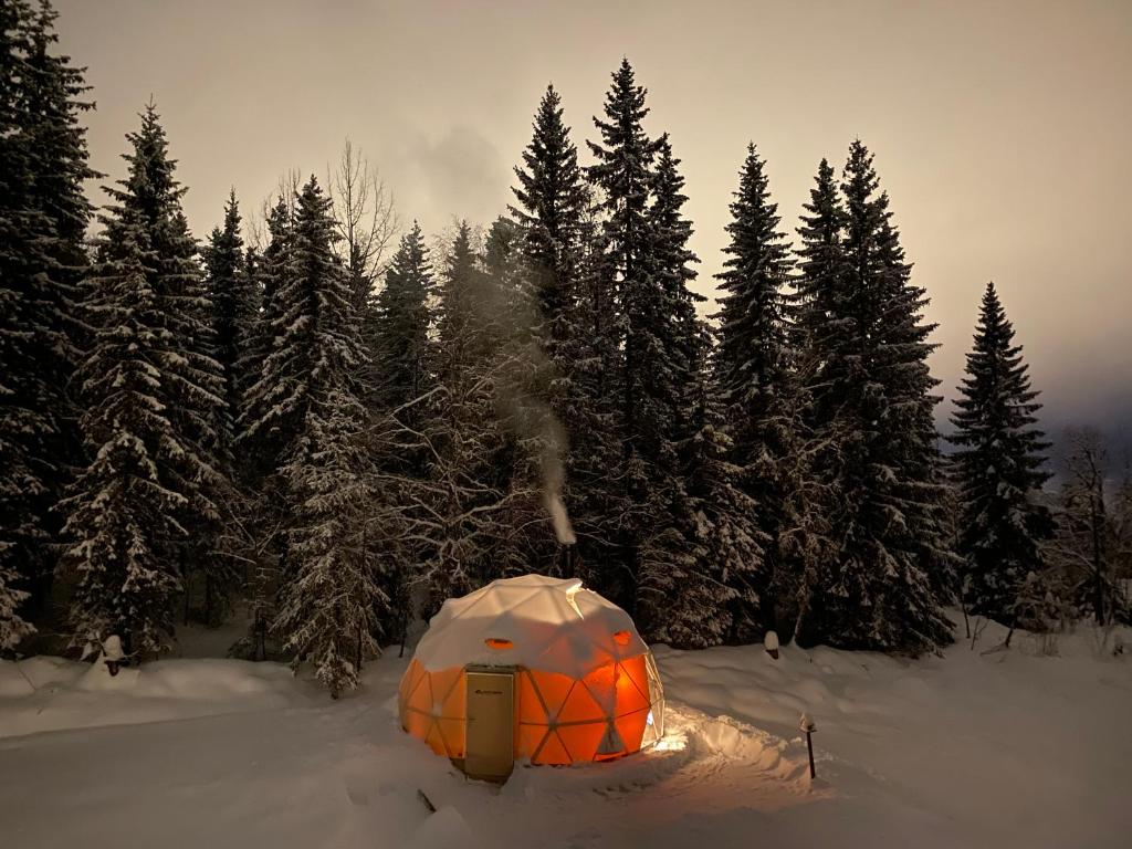 Το Dome Glamping with shared bathroom τον χειμώνα