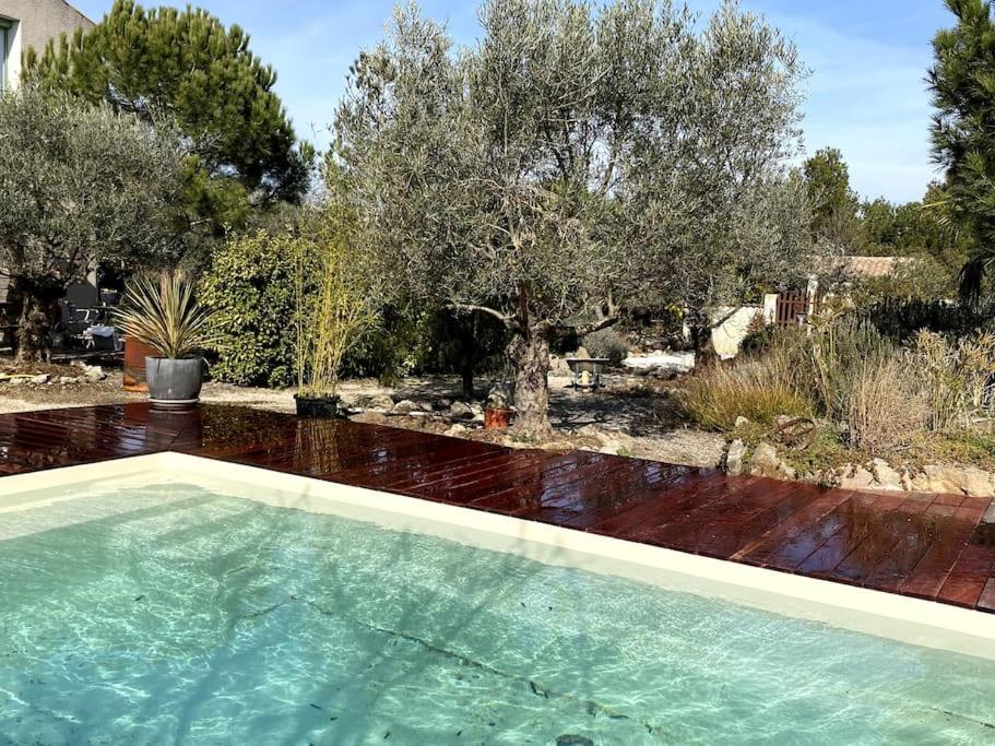 Πισίνα στο ή κοντά στο Très agréable gite très bien équipé avec piscine privée