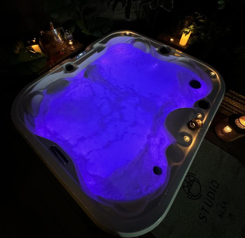 Fotografie z fotogalerie ubytování Gîte Studio Alsa 15 avec Jacuzzi privatif v destinaci Fortschwihr