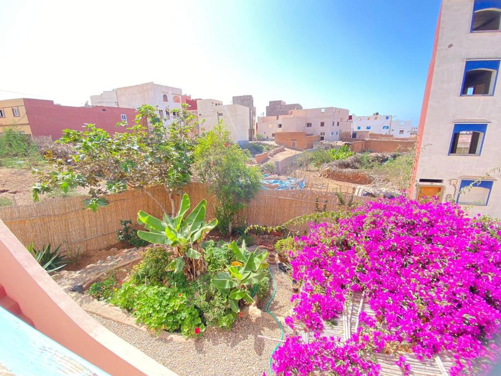 a garden with pink flowers on a balcony at Tigmi home in Mirleft