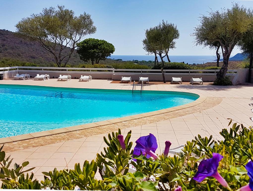 une piscine avec des chaises longues et une piscine dans l'établissement U Sole Livante mini villa vue mer Santa Giulia, à Porto-Vecchio