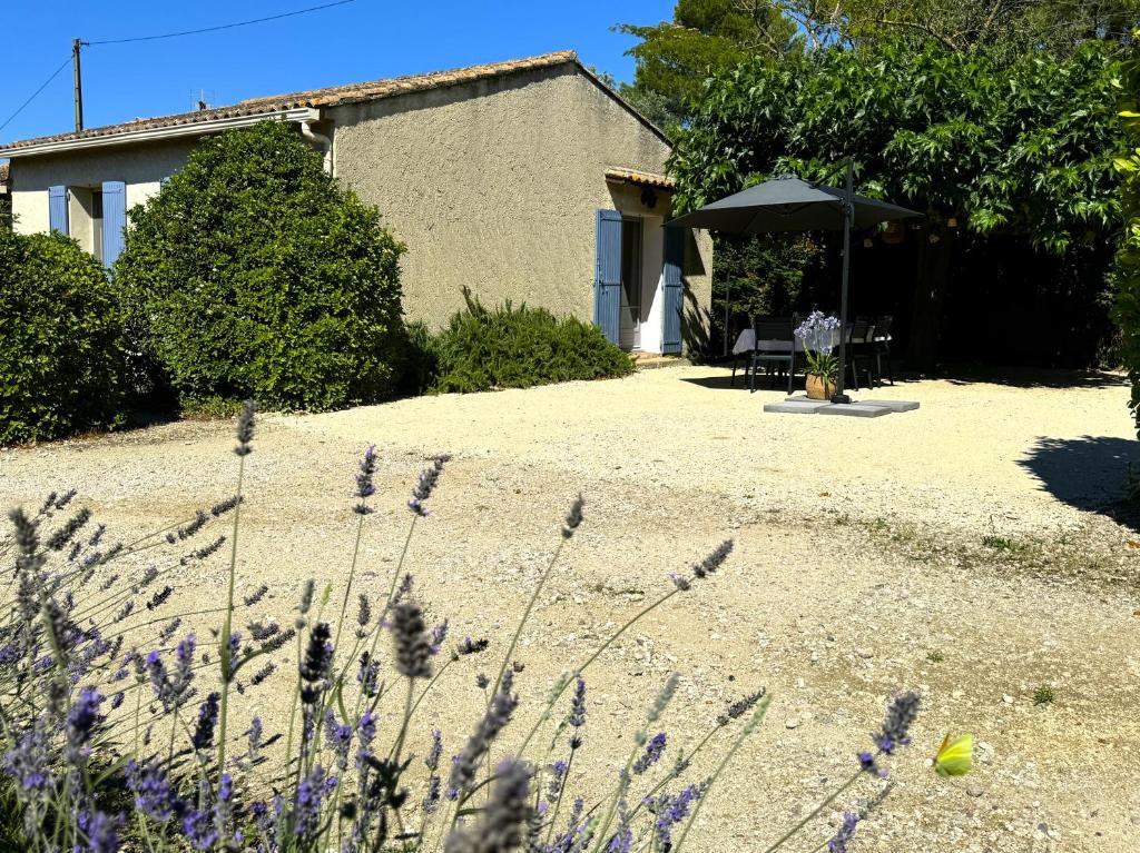 une maison avec une chaise et un parasol dans une cour dans l'établissement La Douceur des Alpilles, à Saint-Rémy-de-Provence