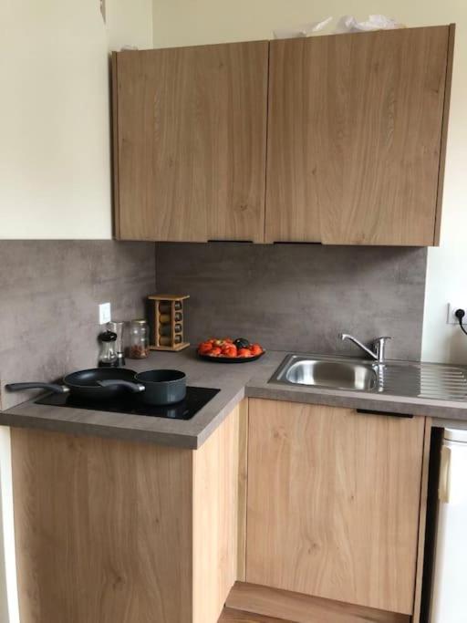 une cuisine avec un évier et un plan de travail dans l'établissement Beau Studio tout neuf proche de Lille, à Houplines