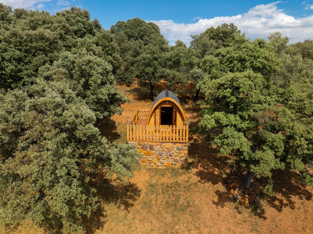 eine Luftaufnahme einer kleinen Hütte inmitten von Bäumen in der Unterkunft CORK VALLEY - Pet Friendly & Only Adults in Hontanar