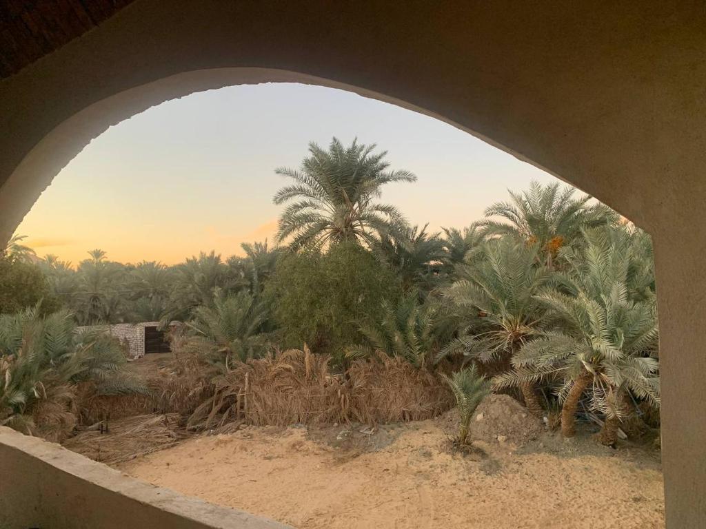 Zahrada ubytování Oum House Siwa