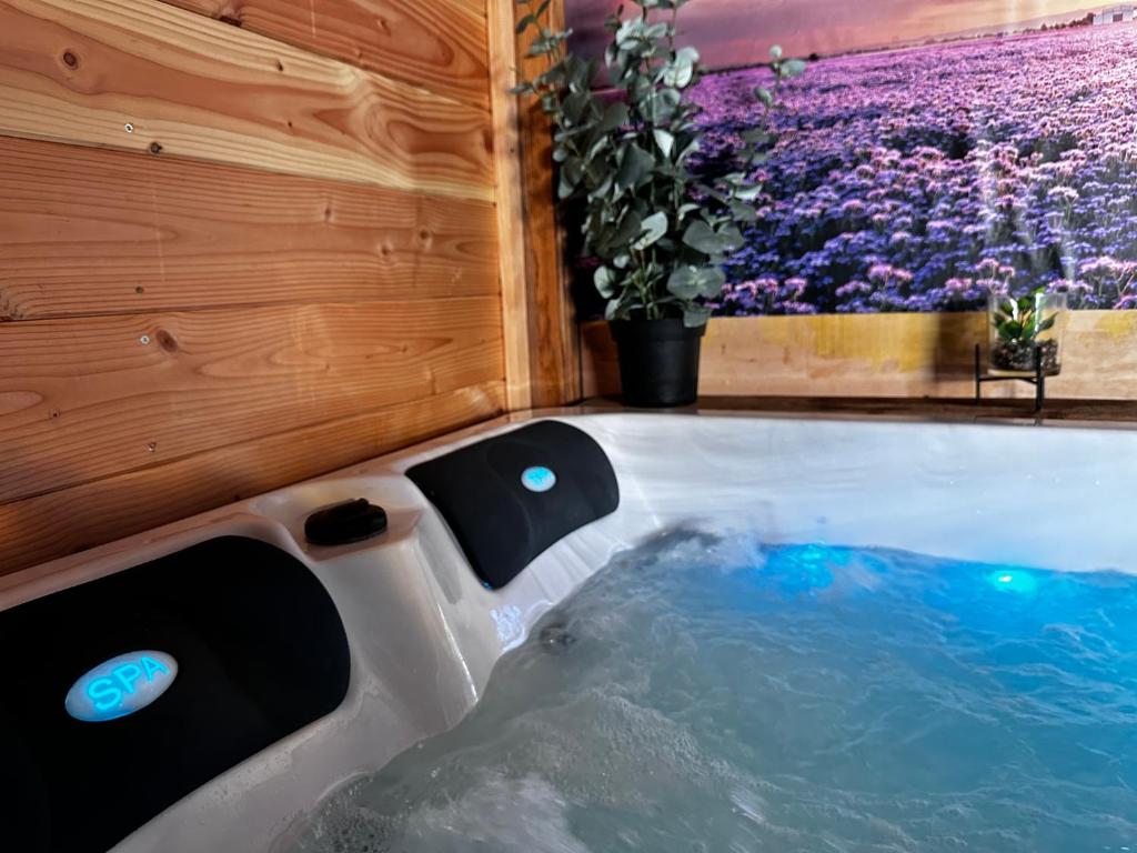 Luxe Vakantiehuis met privé Wellness