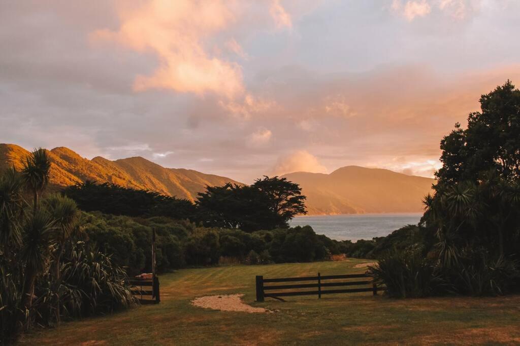Gallery image of Remote Island Stay - Boutique Accommodation in Resolution Bay