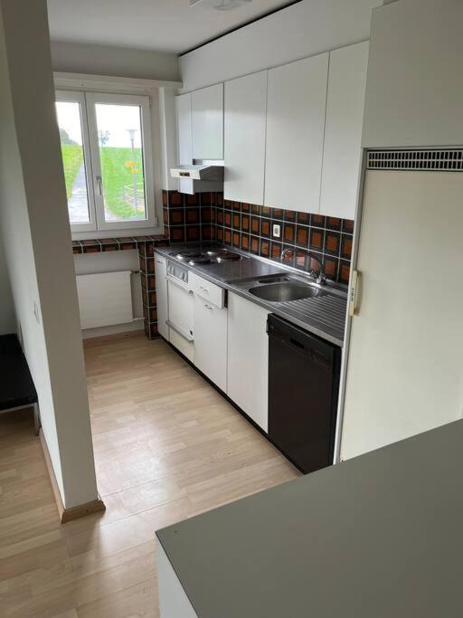 Kuchyň nebo kuchyňský kout v ubytování Wohnung Felix